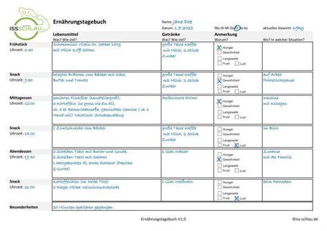 Grafik: Beispiel für ein Ernährungstagebuch