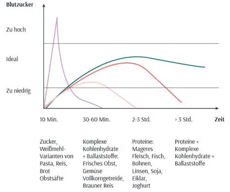 Grafik: Blutzuckerverlauf nach zuckerreicher vs. ballaststoffreicher Mahlzeit