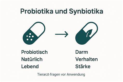 Grafik: Einfluss von Inulin und Probiotika auf Sättigung und Gewichtsverlust