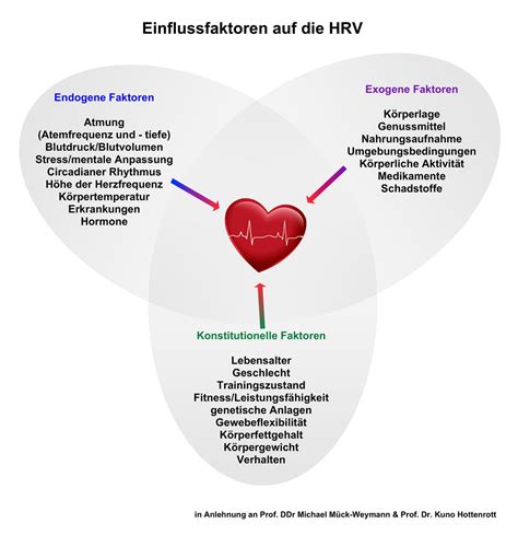 Grafik: Einflussfaktoren auf Eisenaufnahme und -verwertung