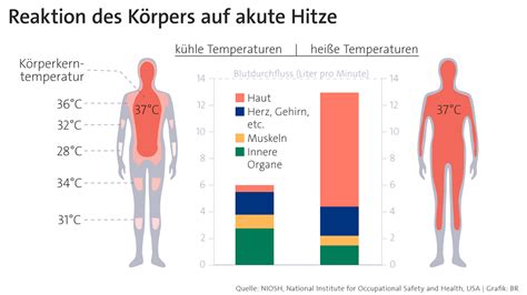 Grafik: Enzymabbau im Honig bei steigenden Temperaturen