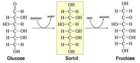 Grafik: Funktionen von Lecithin, Invertase und Sorbit