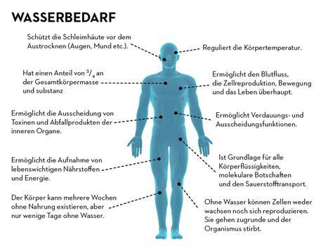Grafik: Funktionen von Wasser im Körper