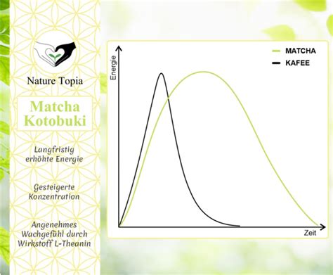 Grafik: Geschmacksprofile von Matcha-, Kaffee- und Keks-Varianten