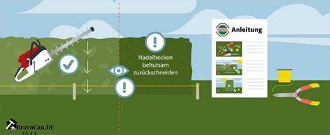 Grafik: Häufige Fehler beim Hecke schneiden
