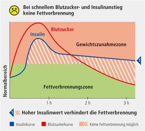 Grafik: Insulinantwort auf Zucker, Blutzuckerschwankungen und Husten-Trigger