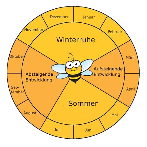 Grafik: Jahreszyklus des Wiederholungslernens und Kurzaufgaben