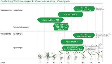 Grafik: Kühlzeiten, Standfestigkeit, Schnittfähigkeit - Vergleich der Cremen