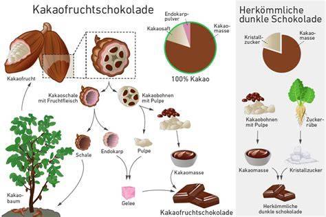 Grafik: Kakaofrucht - Bohne, Fruchtfleisch, Schale und ihre Verwertung