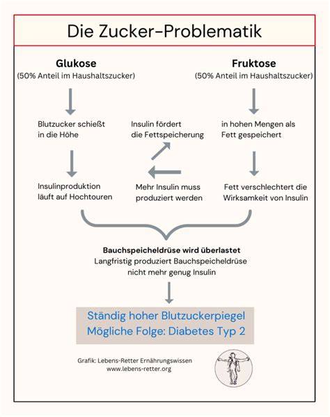 Grafik: Kaskade der Entzündung durch hohen Zuckerkonsum