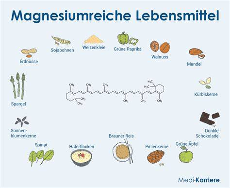 Grafik: Magnesiumgehalt verschiedener Lebensmittel