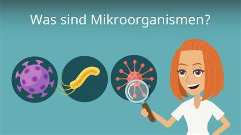Grafik: Mikroorganismen in Eis - Risiko für Lebensmittelvergiftung