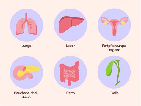 Grafik: Organe, die bei einer Milbenallergie betroffen sein können