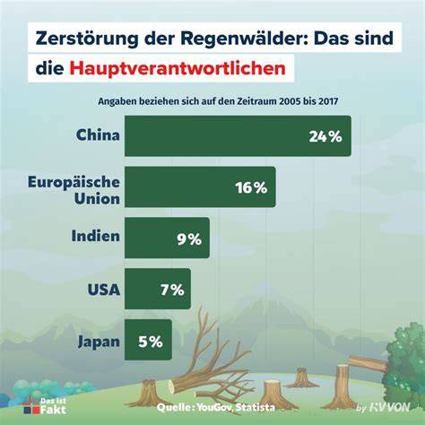 Grafik: Palmöl-Produktion und Regenwaldabholzung