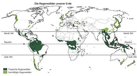 Grafik: Palmölherstellung und Auswirkungen auf Regenwälder