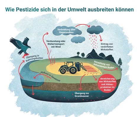 Grafik: Palmölproduktion und Auswirkungen auf Umwelt und Artenvielfalt