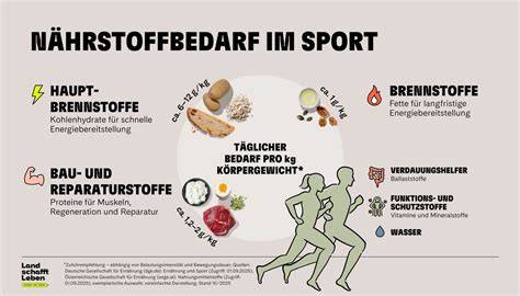 Grafik: Reis als Energiequelle für Sportler (Kohlenhydrate, Kalorien)