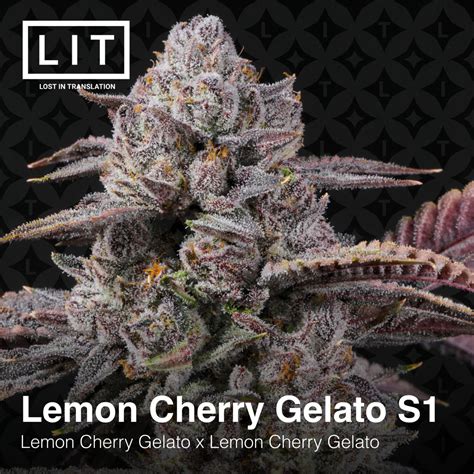 Grafik: Terpenstruktur und ihre potenziellen Effekte bei Lemon Cherry Gelato
