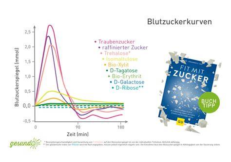 Grafik: Typische Glukose-Reaktionskurve nach Zuckeraufnahme