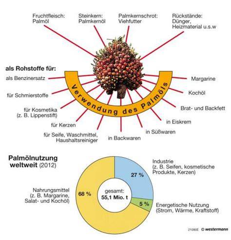 Grafik: Umweltauswirkungen von Palmöl