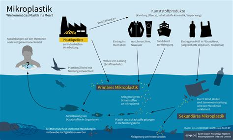 Grafik: Umweltprobleme durch Palmöl und Mikroplastik