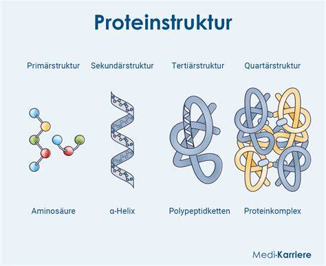 Grafik: Vergleich Pre, 1, 2, 3 (Kohlenhydrate, Proteine, Einsatzalter)
