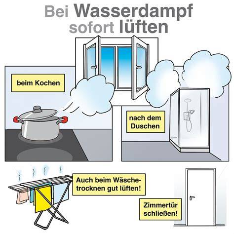 Grafik: Wasserdampf treibt Schichten - Physik der Blätterung