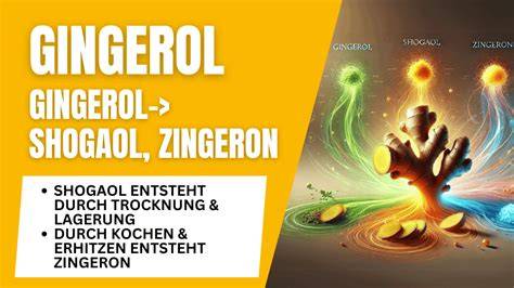 Grafik: Wirkstoffe im Ingwer (Gingerol, Shogaol) und ihre Effekte