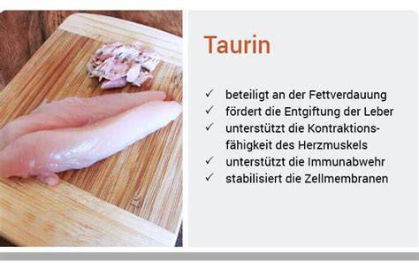 Grafik: Wirkung von Taurin und B-Vitaminen im Körper