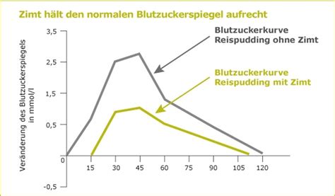 Grafik: Wirkung von Zimt und Honig auf Blutzuckerspiegel (schematisch)