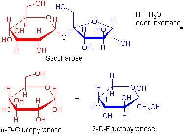 Grafik: Zeitlicher Verlauf der Drehung bei Inversion von Saccharose zu Glucose und Fructose