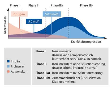 Grafik: Zeitlicher Verlauf der Veränderungen bei Zuckerverzicht (Tag 1 - Woche 4)