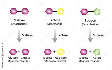 Grafik: Zucker-Verstecke in Zutatenlisten (Syrup, Dextrose, Maltose, Fructose, Honig)