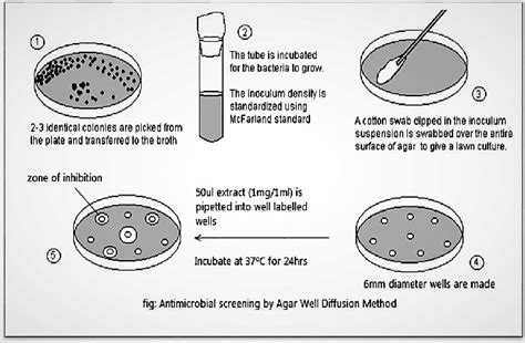 Grafik zur Agar well diffusion Methode