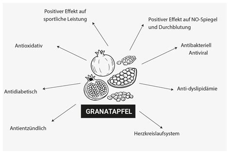 Granatapfel-Eis-Varianten-Übersicht