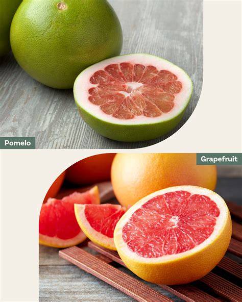 Grapefruit und Pomelo auf Holzbrett, Zitrusfrüchte Nahaufnahme