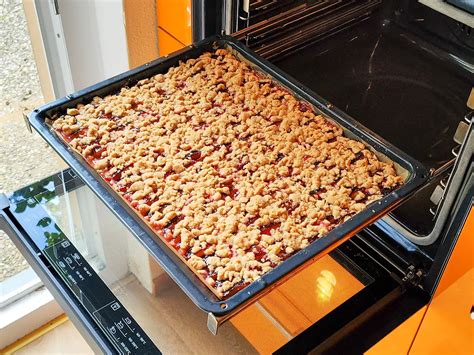 Großes Backblech mit frisch gebackenem Obstkuchen