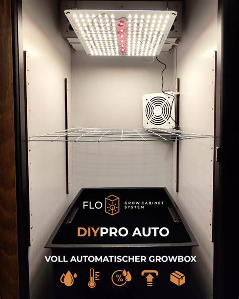 Growbox mit optimaler Gelato Auto Bestückung, Lampen und Belüftung