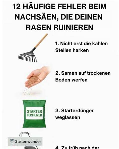 Häufige Fehler beim Wiener Boden: zu frühes Öffnen, zu viel Rühren, falsche Temperatur
