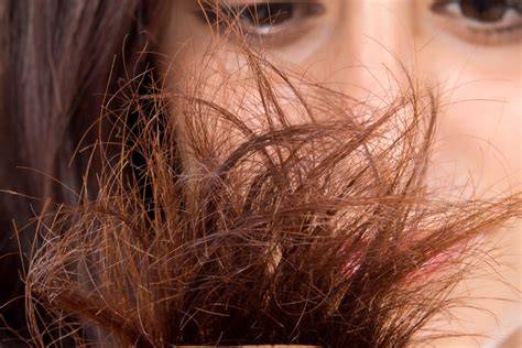 Haarspliss und Feuchtigkeitspflege