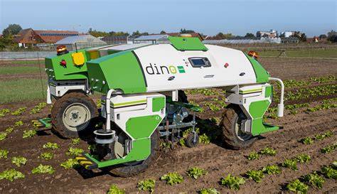 Hackroboter im Bio-Rübenanbau