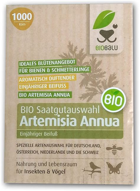 Haferfelder und Anbau für glutenfreie Bioqualität