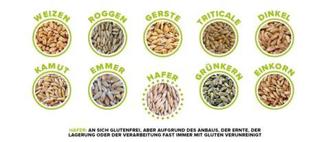 Haferfelder und glutenhaltige Getreide