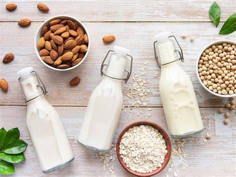 Hafermilch, Mandelmilch, Kokosmilch und Kuhmilch in Gläsern nebeneinander