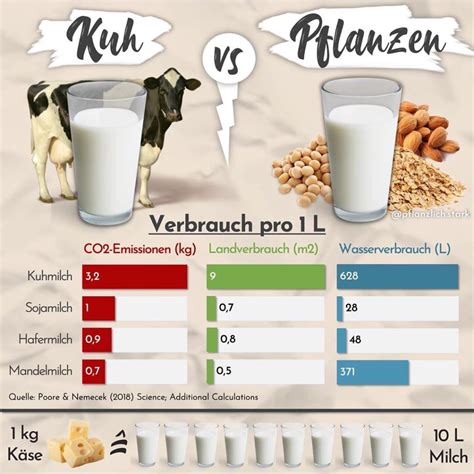 Hafermilch im Vergleich: Vegane Milchersatzprodukte und ihr Nährwertprofil