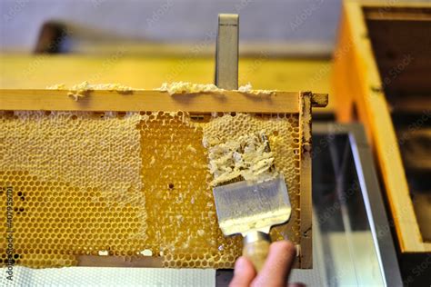 Handarbeit beim Entdeckeln von Honigwaben