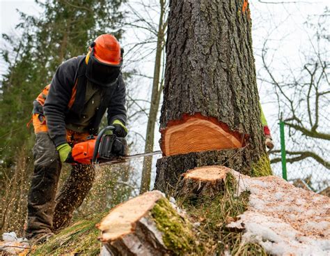 Handarbeit und traditionelle Maschinen bei Bonnat