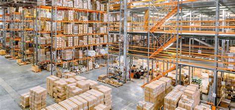 Handel und Logistik exotischer Früchte - Herausforderungen beim Import der Schwarzen Sapote