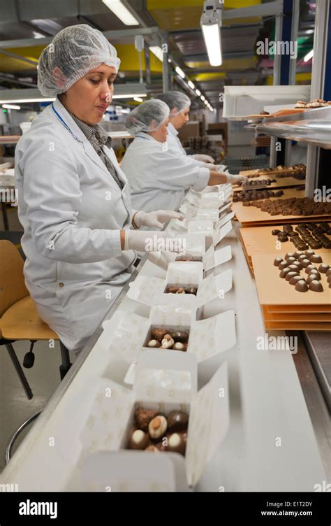Handverpackung von Pralinen und Arbeitsatmosphäre in der Schokoladenfabrik