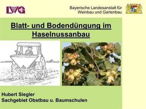 Haselnussanbau und Herkunftsregionen